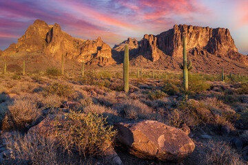 Scenic desert landscape with cacti against the background of Superstition Mountains. Arizona