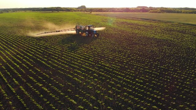 Aerial video of tractor spraying soil and young crop in springtime in field. Tractor spraying pesticides on soy field with sprayer at spring. Nozzle of the tractor sprinklers sprayed, machine concept.