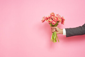 Romantic man presents a bouquet of tulips on an isolated pink background, Valentine's Day, March 8