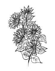 Black outline of a bouquet of sunflowers on a white background