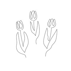 Tulip one line drawing. Hand drawn sketch of flower with leaves.