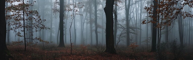 Autumn Whisper in Misty Forest
