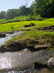 river flow between rocks with green grass