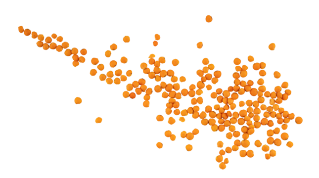 the pile of yellow lentil beans, dry powder spice grains, graphic element isolated on a transparent background  