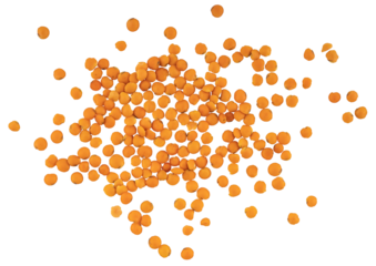 the pile of yellow lentil, dry powder spice grains, graphic element isolated on a transparent background  