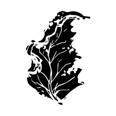 Sketch drawing of a birch leaf in black and white outline. Vintage combination of birch leaf.