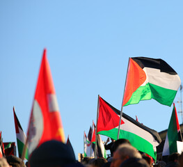 waving palestine flags with protesters during peaceful demonstration for peace