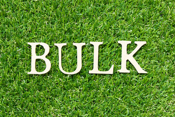 Wood letter in word bulk on green grass background
