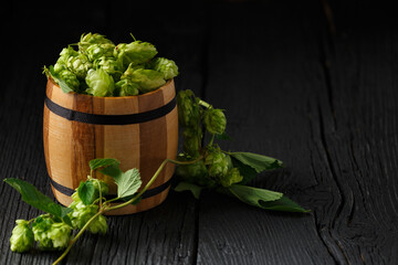 Hops in a wooden keg on a black wooden background