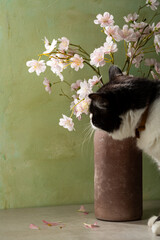 Pink flowers in vase green background and pet cat