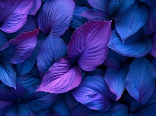 Closeup image of purple and blue leaves in a bunch, showcasing vibrant colors and intricate details