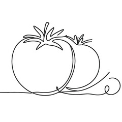 Tomato in a line drawing style