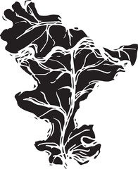 Sketch drawing of a oak leaf in black and white outline. Vintage oak, great design for any purposes.