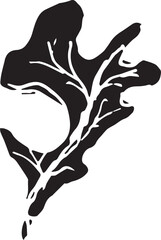Sketch drawing of a oak leaf in black and white outline. Vintage oak, great design for any purposes.