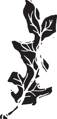 Sketch drawing of a oak leaf in black and white outline. Vintage oak, great design for any purposes.