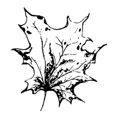 background for print design. Hand drawn black illustration.