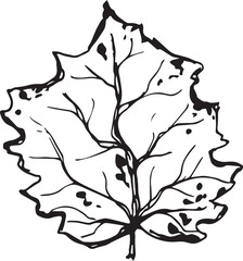 Hand drawn black leaves. Vintage leaf, great design for any purposes.