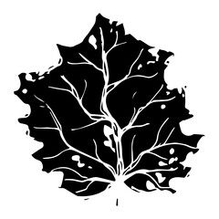 Hand drawn black leaves. Vintage leaf, great design for any purposes.