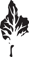 Hand drawn black leaves. Vintage leaf, great design for any purposes.