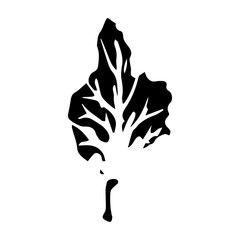 Hand drawn black leaves. Vintage leaf, great design for any purposes.