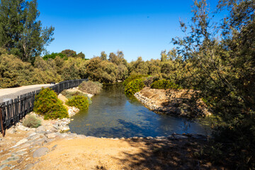 Gran Canaria Meloneras Path and Stream in a Garden