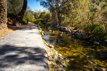 Fototapeta premium Gran Canaria Meloneras Path and Stream in a Garden