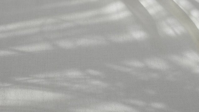 Abstract shadows of plants on a white fabric. Morning sunlight.Copy space.