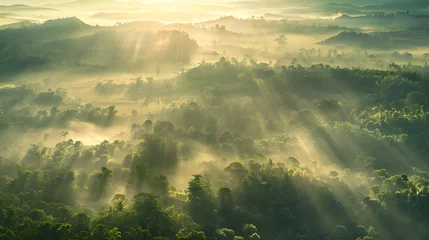 Rugzak Beautiful aerial View of hilly landscape in morning mist with sun rays, banner format  © Ziyan