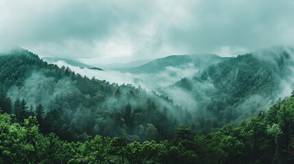 Panorama view of forest hills in smoky mountains national park in cloudy weather, north carolina, usa - obrazy, fototapety, plakaty