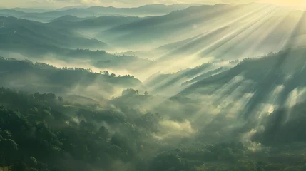 Papier Peint photo Kaki Beautiful aerial View of hilly landscape in morning mist with sun rays, banner format 
