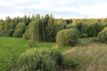 Obraz premium Serene landscape filled with lush green trees and shrubs