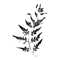 Obraz premium Sketch drawing of a fern in black and white outline. Vintage fern, great design for any purposes.