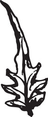 Sketch drawing of a fern in black and white outline. Vintage fern, great design for any purposes.