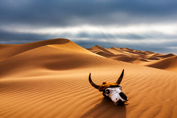 Dramatic sunset over the sand dunes with skull in the desert. Gobi desert