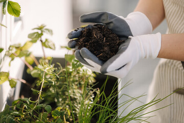 Close-up of two hands carrying potting seedlings to be planted into the soil.