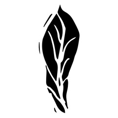 Vintage rowan, great design for any purposes. Hand drawn black illustration.