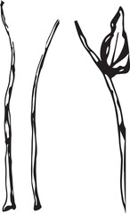 Vintage rowan, great design for any purposes. Hand drawn black illustration.