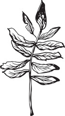 Vintage rowan, great design for any purposes. Hand drawn black illustration.
