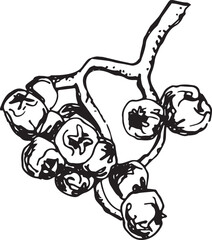 Vintage rowan, great design for any purposes. Hand drawn black illustration.