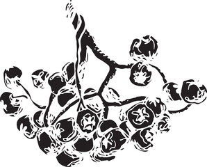 Vintage rowan, great design for any purposes. Hand drawn black illustration.