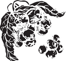 Rowan in hand drawn style on black background. Vintage line art closeup.