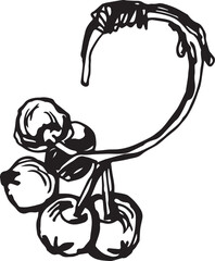 Hand drawn pumpkin for decorative design. Vintage pumpkin.