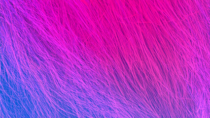 Abstract modern background with feather and thread texture in pink purple and blue colors
