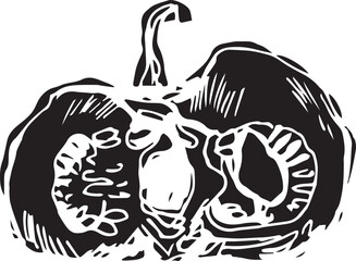 Hand drawn pumpkin for decorative design. Vintage pumpkin.