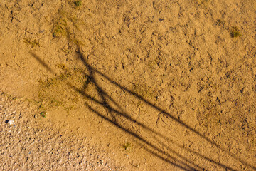 Muddy shore near a pond and cast shadow from plants, abstract natural background