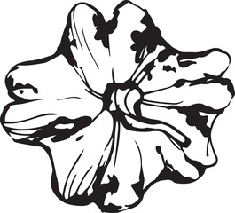 Hand drawn pumpkin for decorative design. Vintage pumpkin.