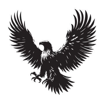 wild eagle silhouette, vector of wild eagle