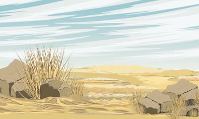 Desert with stones and dry grass. Realistic vector landscape