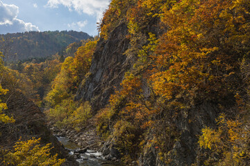 日本　北海道札幌市南区定山渓の二見吊橋から見える豊平川沿いのかっぱ淵と紅葉