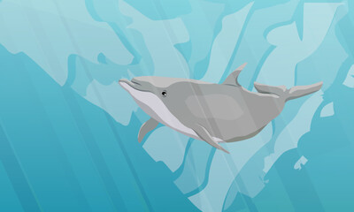 Common bottlenose dolphin swim in warm sea water. Realistic vector underwater landscape